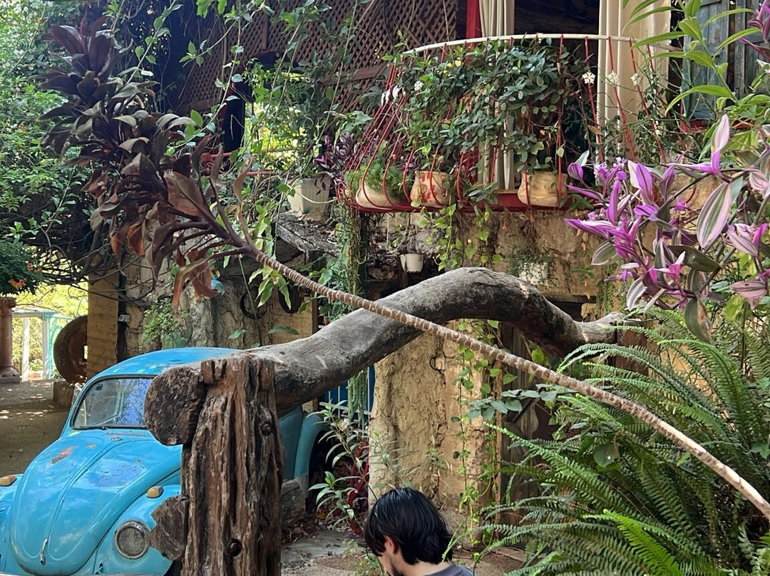 Al- Muna Gardens-Julis必去景点