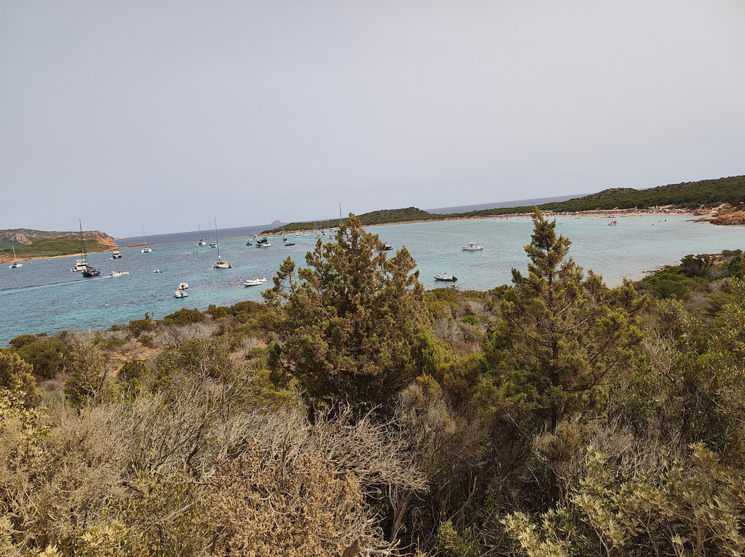 Spiaggia Capo Coda Cavallo-San Teodoro必去景点