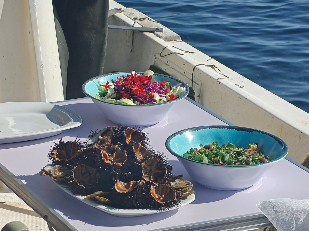 Lemnos Fishing Trips-Myrina必去景点