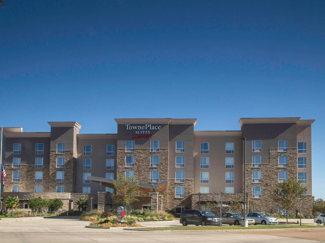 Abbeville酒店住宿-TownePlace Suites by Marriott Oxford