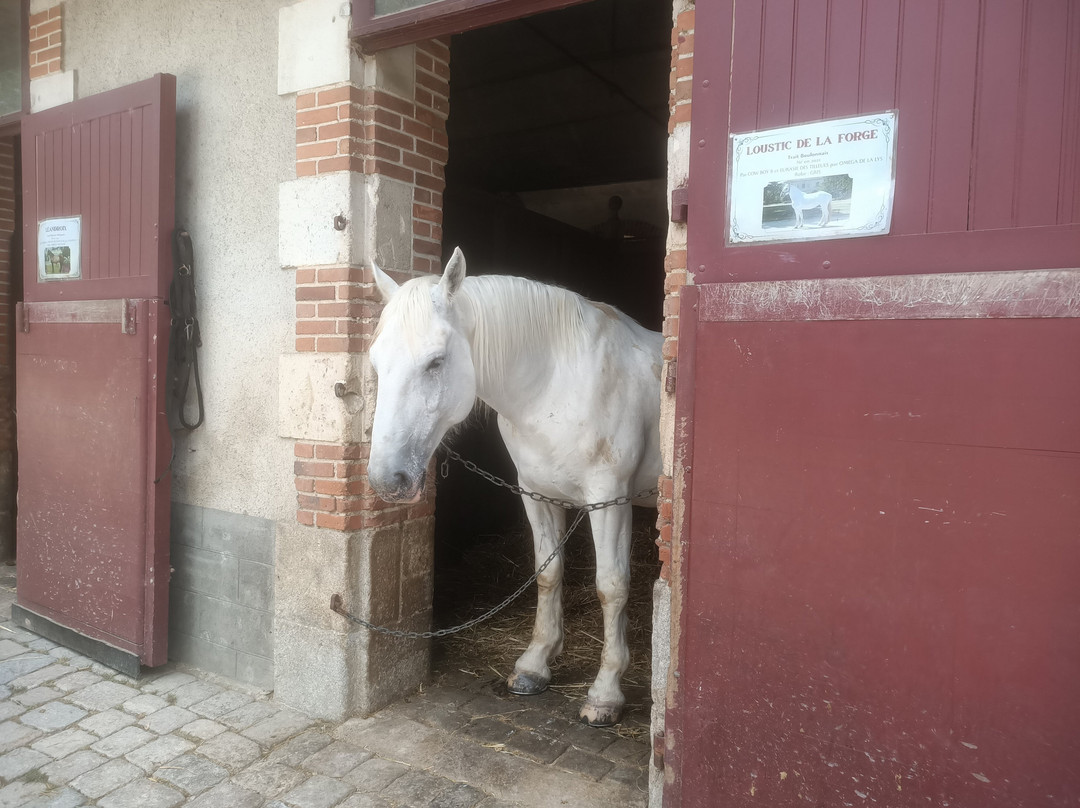 Haras De La Vendée-La Roche-sur-Yon必去景点