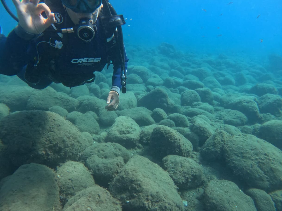 Buceo Aqualia La Herradura-拉埃拉杜拉必去景点