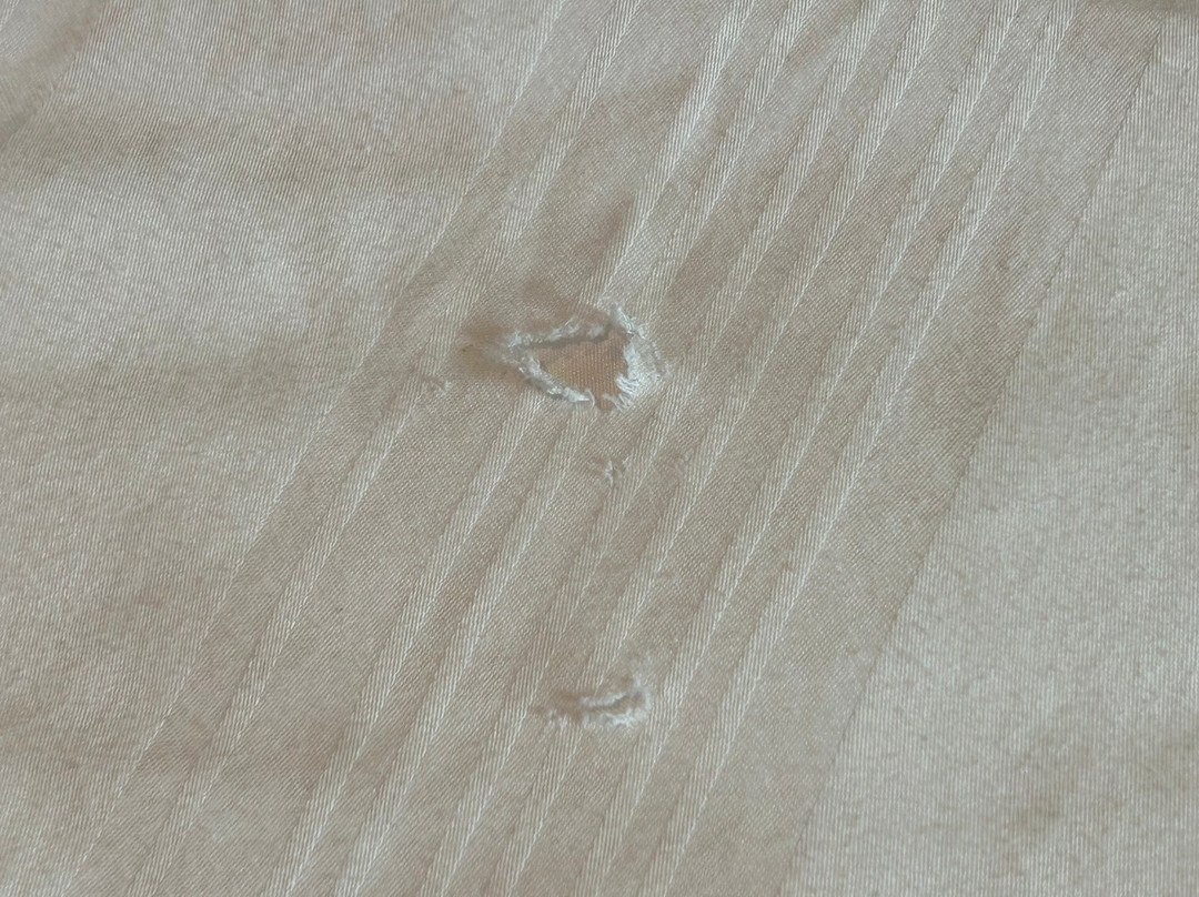 普瑞米尔皮克凌酒店主图