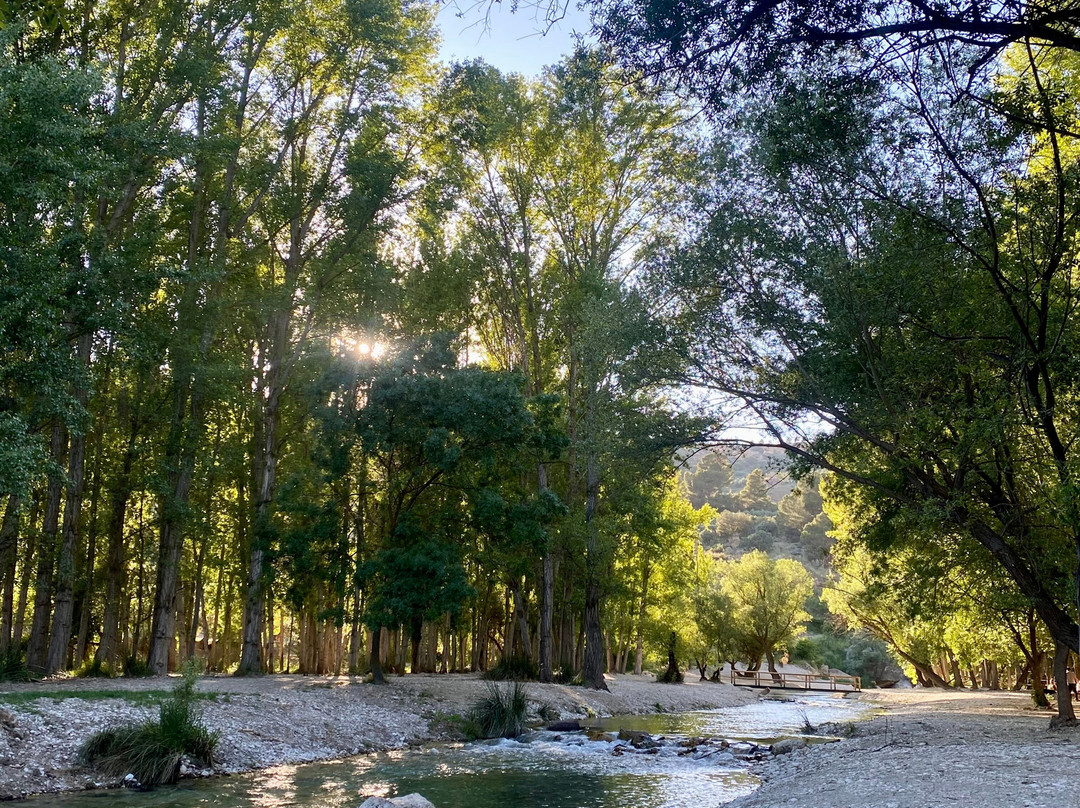 Bosque Encantado de Higueras-Pozo Alcon必去景点