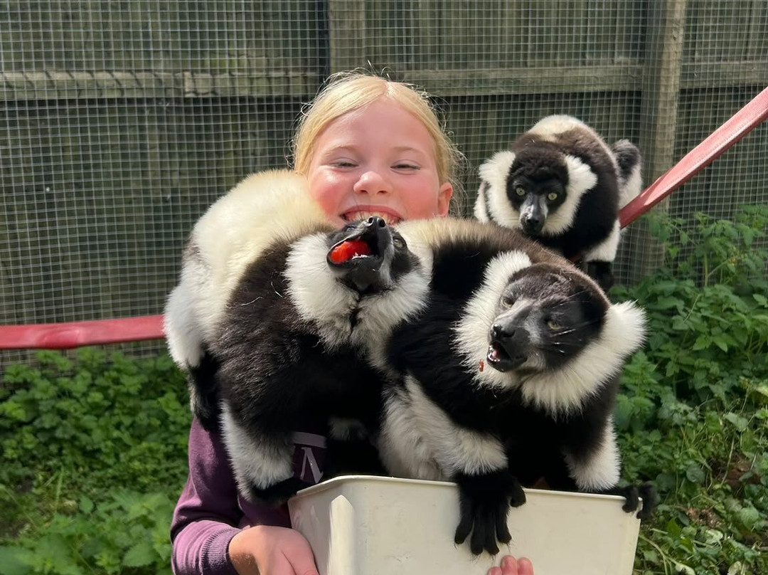 Greenacres Animal Park-Deeside必去景点