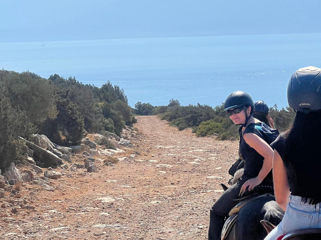 Panouris Ranch-Samos Town必去景点