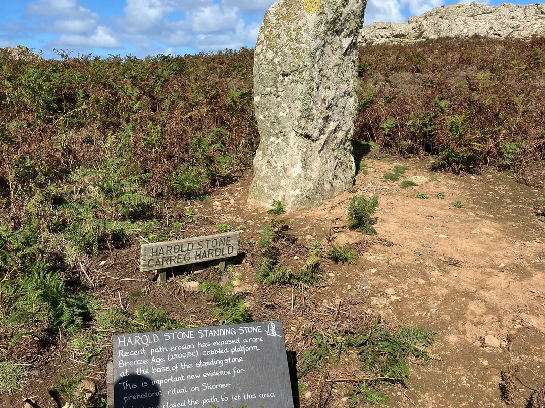 Pembrokeshire Islands Boat Trips-Marloes必去景点