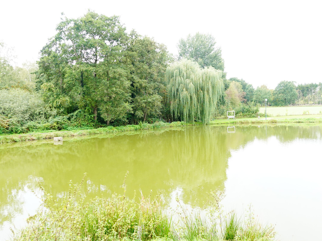 Schloss Raesfeld主图