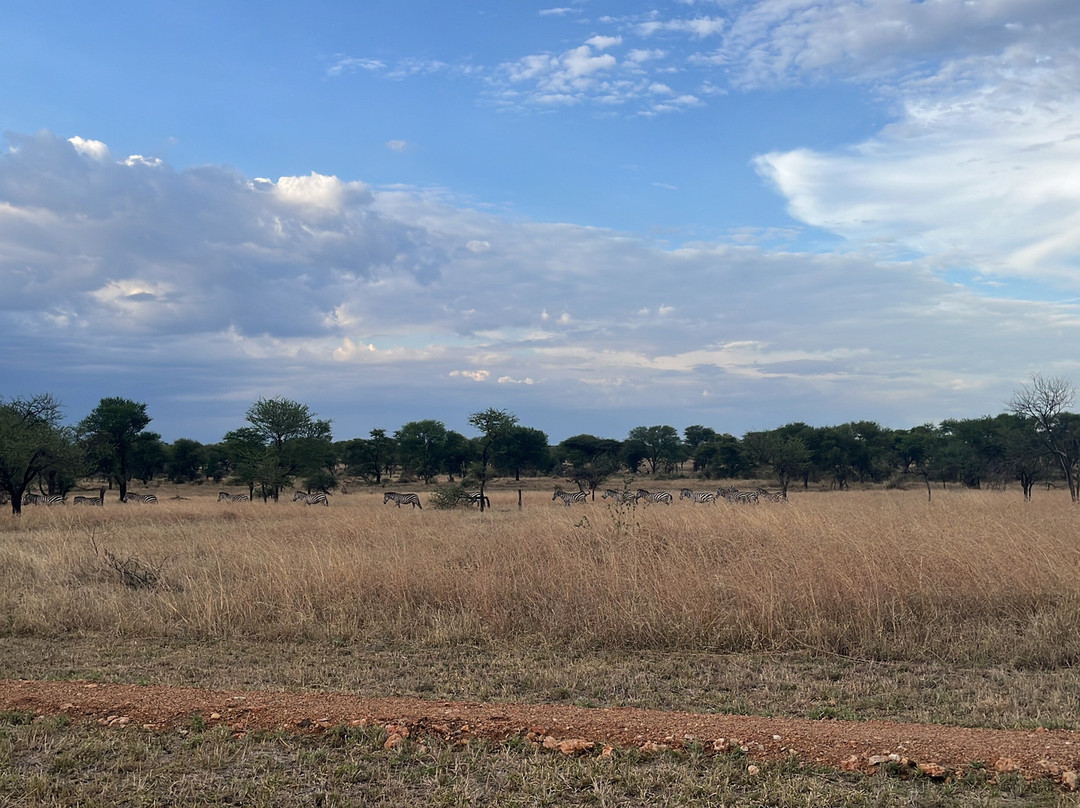 OSOTUA TENTED CAMPS-Ikoma必去景点