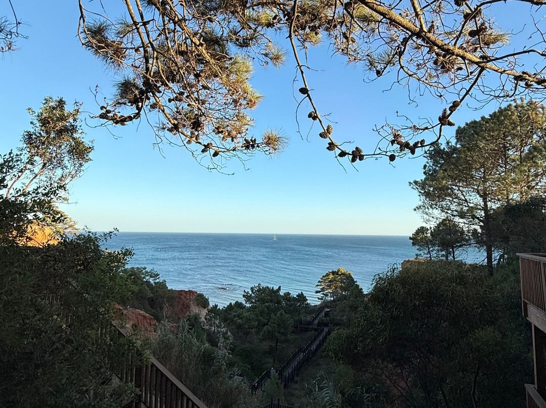 波尔图湾蓝色海洋酒店主图