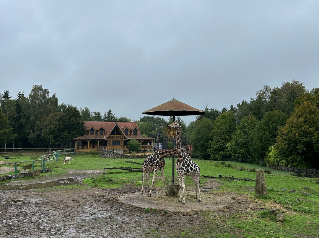 Pakawi Park-Olmen必去景点