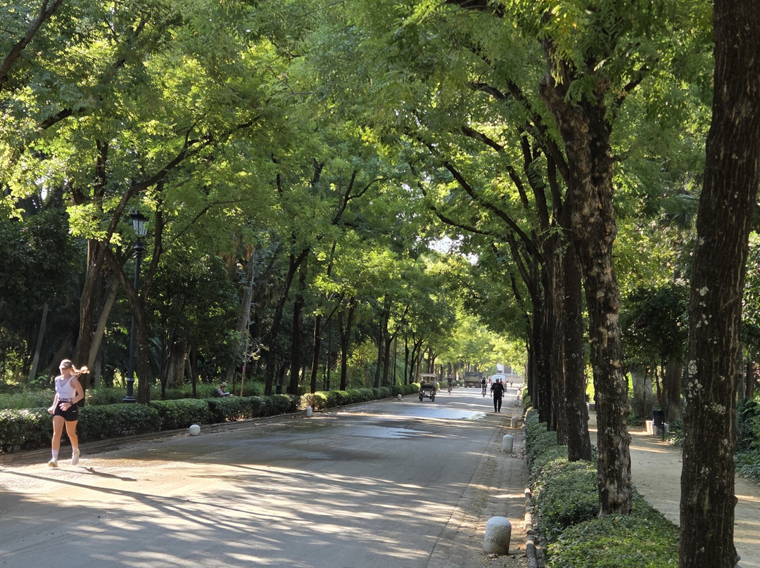 玛丽亚‧路易莎公园-塞维利亚必去景点