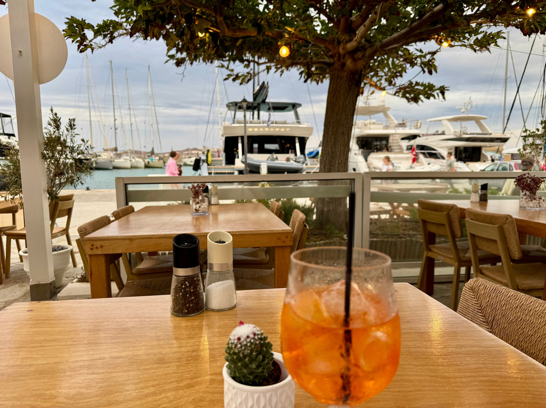 Notos Aegean Restaurant