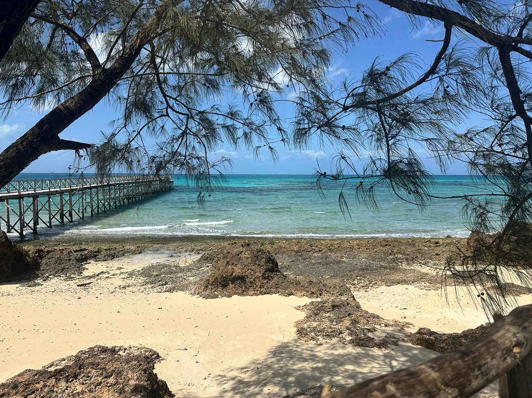 Prison Island - Changuu Private Island-石头城必去景点