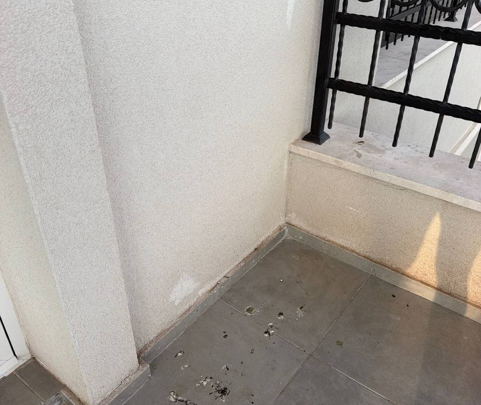 拉苏雷酒店及码头主图