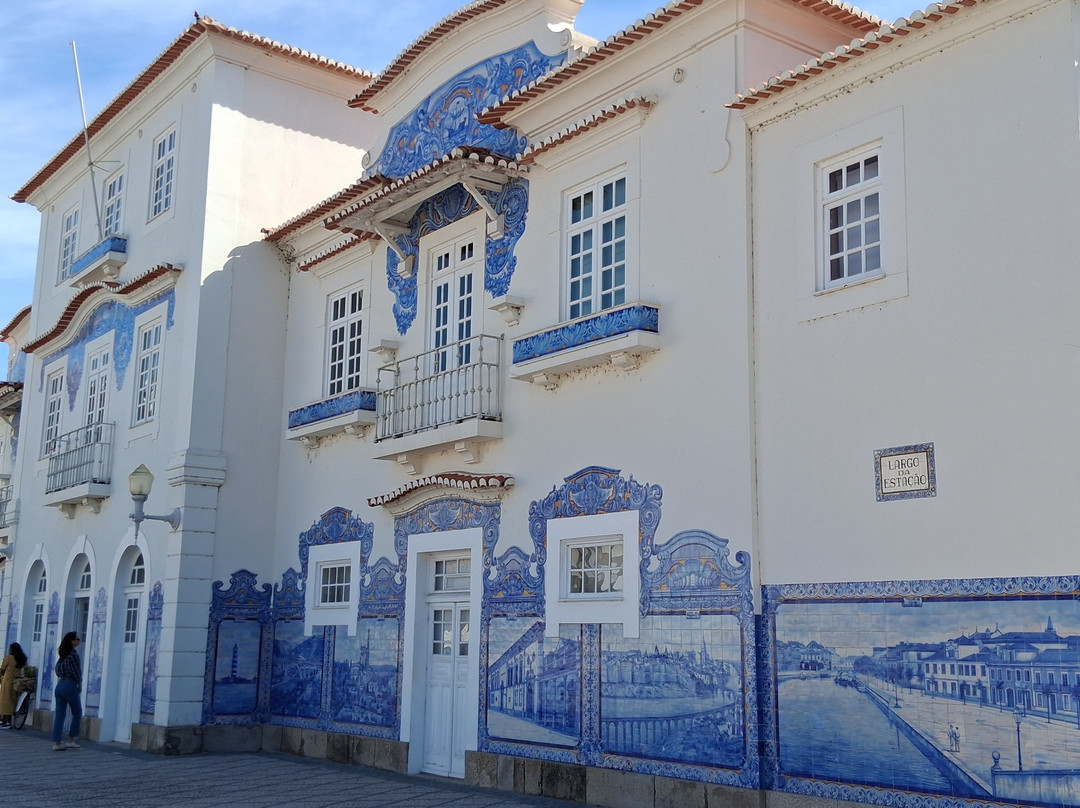 Aveiro Railway Station-阿威罗必去景点