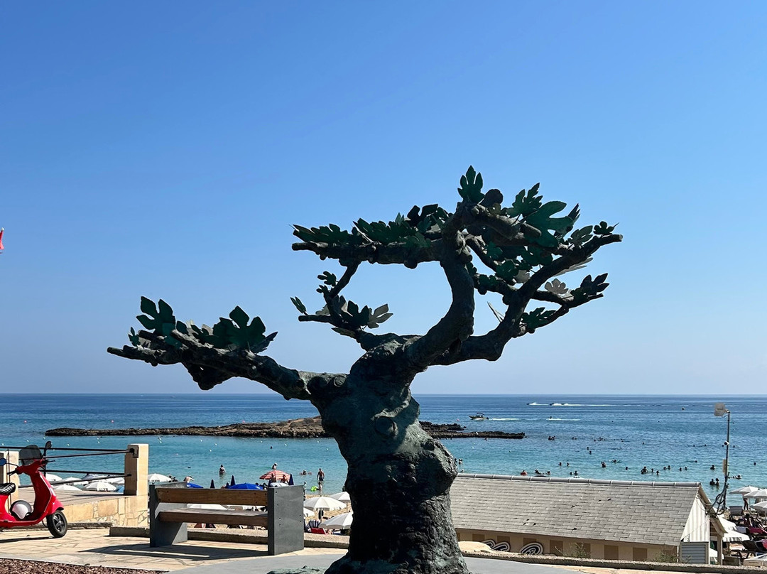 Fig Tree Bay Beach-普它肋斯必去景点