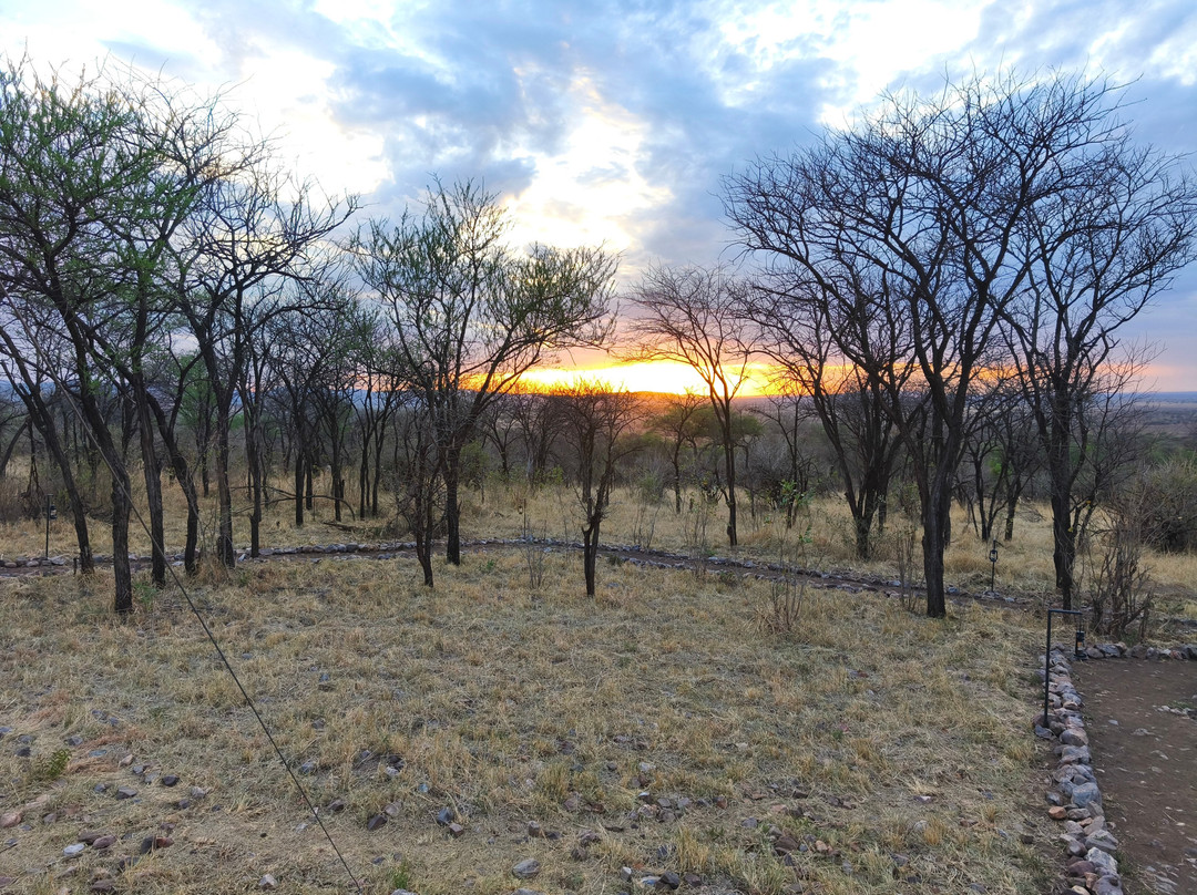 Mbuni Tented Camps-Seronera必去景点