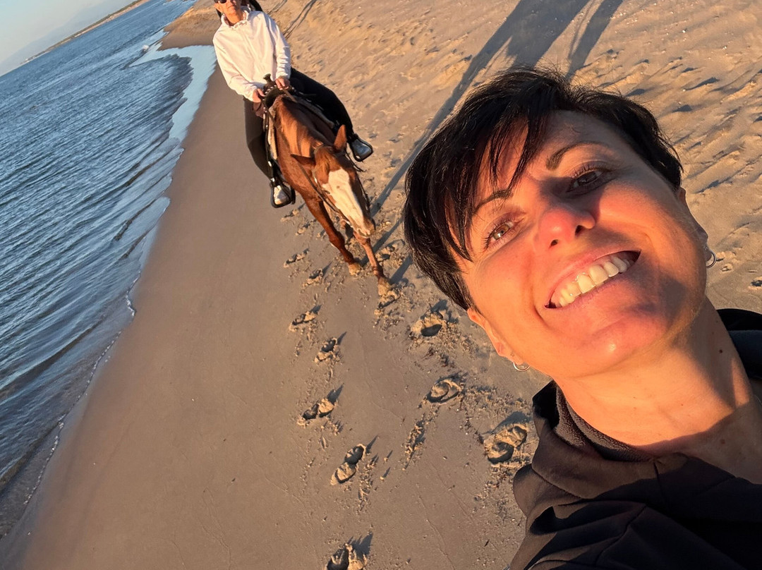 Family Horses 373-5361953-Marina di Ginosa必去景点