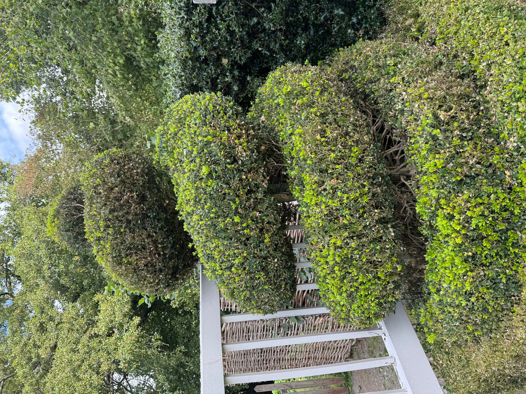 Westbury Court Gardens-Westbury on Severn必去景点