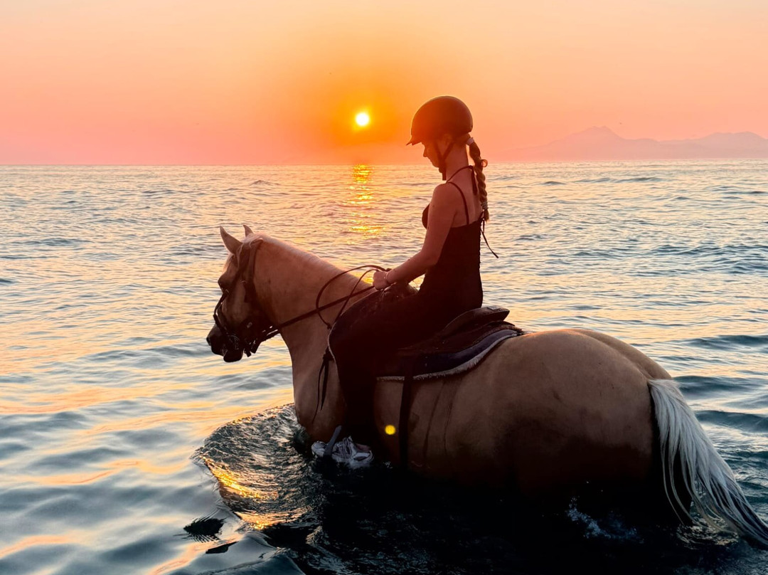 Erika's Horse Farm Kos-Marmari必去景点