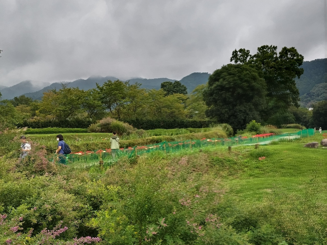 石舞台古坟-明日香村必去景点