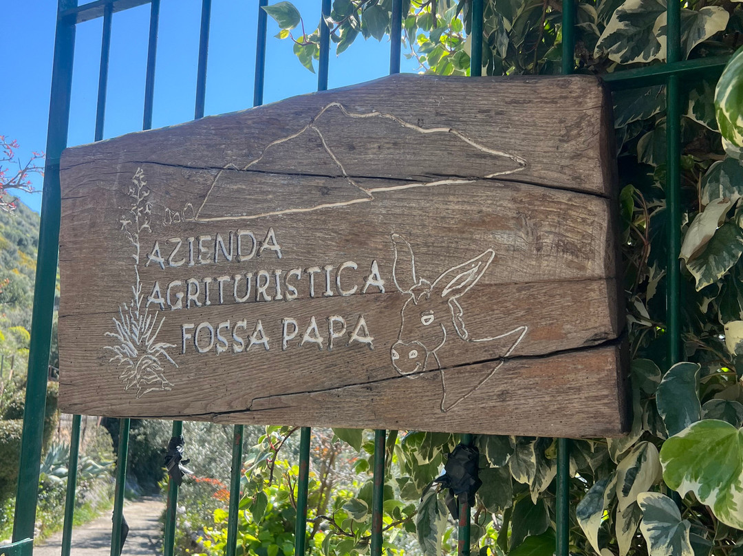 Azienda Agrituristica Fossa Papa-马萨卢布伦塞必去景点