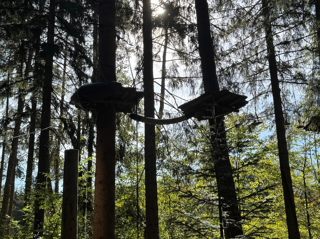 Münchner Wald Kletterwald Vaterstetten-Vaterstetten必去景点