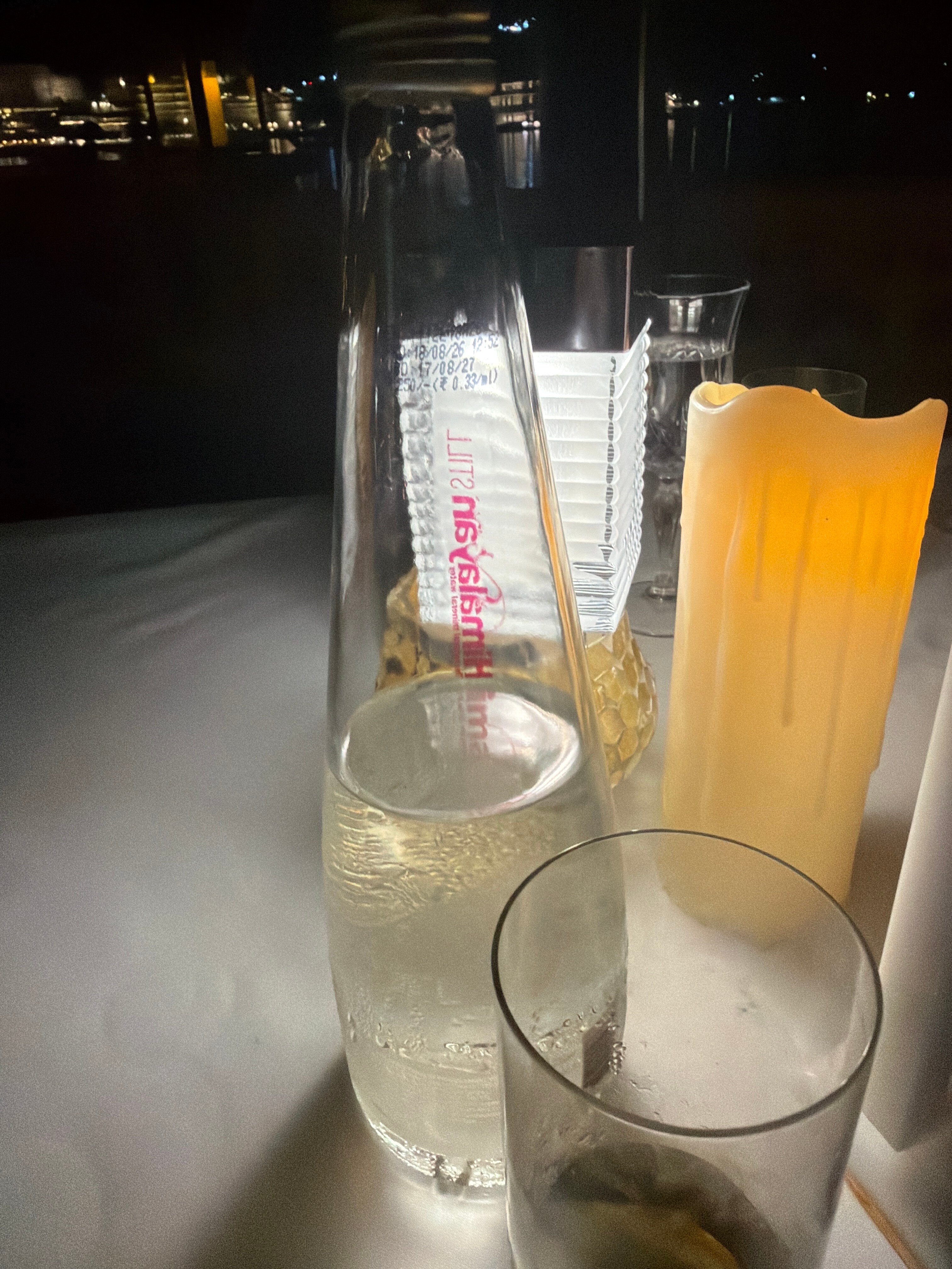 乌代布尔里拉皇宫酒店-旅行者