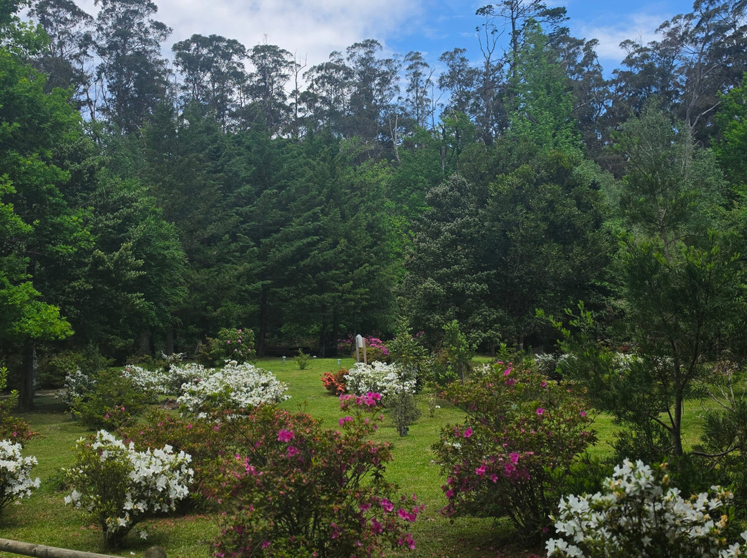 Hogsback Arboretum-Hogsback必去景点