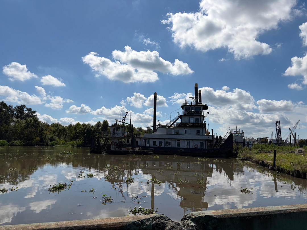 New Orleans Airboat Tours-Marrero必去景点