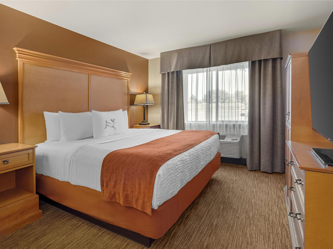 Baggs酒店住宿-Best Western Plus Deer Park Hotel And Suites