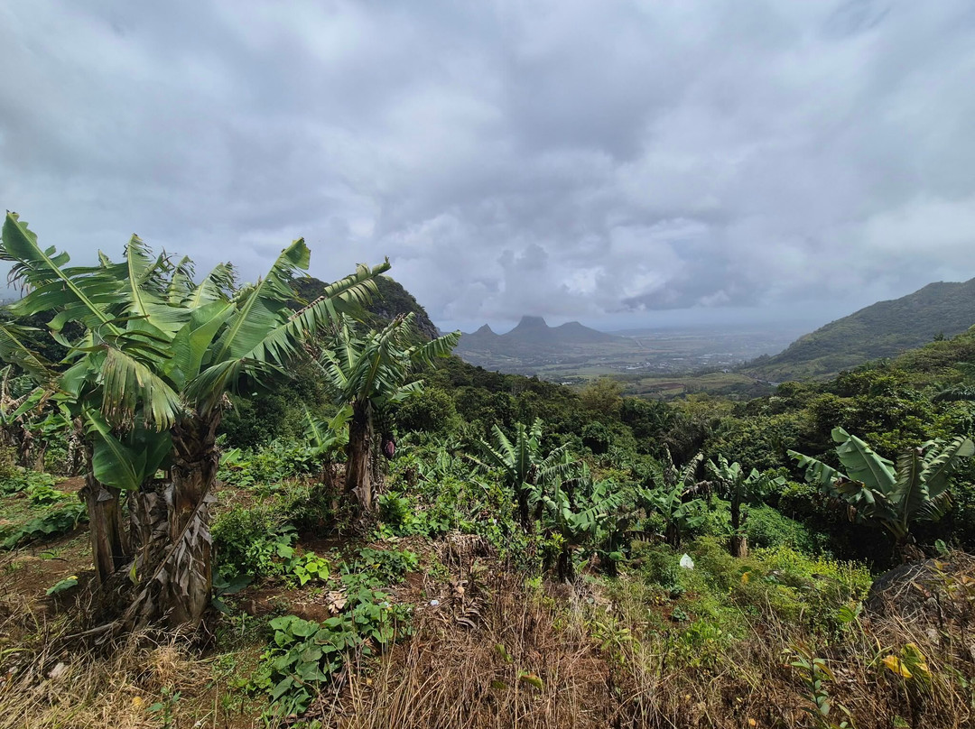 Nature Trails Mauritius-卡特勒博尔纳必去景点