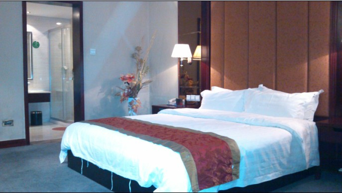 武山县酒店住宿-陇西大酒店