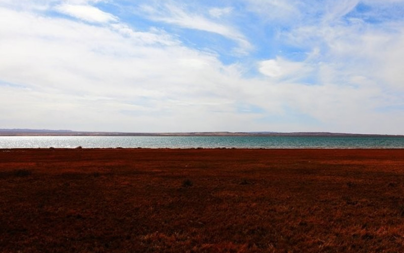 甘南尕海侯鸟自然保护区景点图片