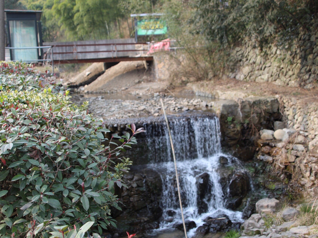 湖州碧坞龙潭-德清县必去景点