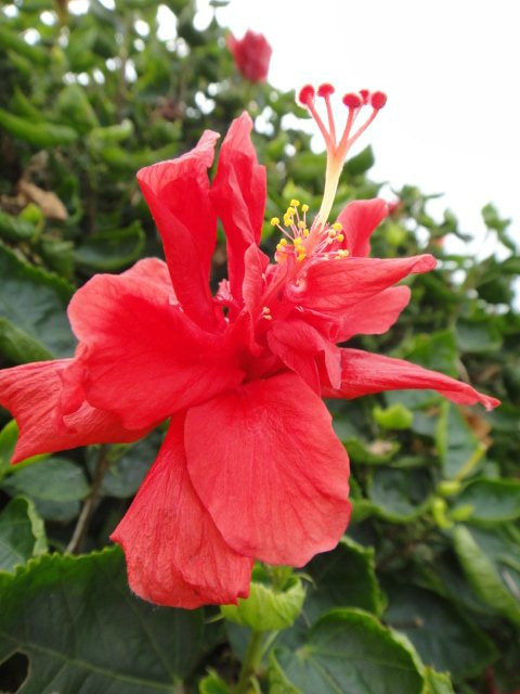 北回归线标志公园-桂平市必去景点