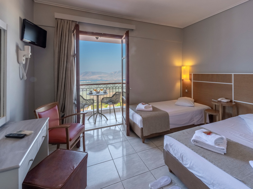 费德雷亚迪斯德尔菲酒店主图