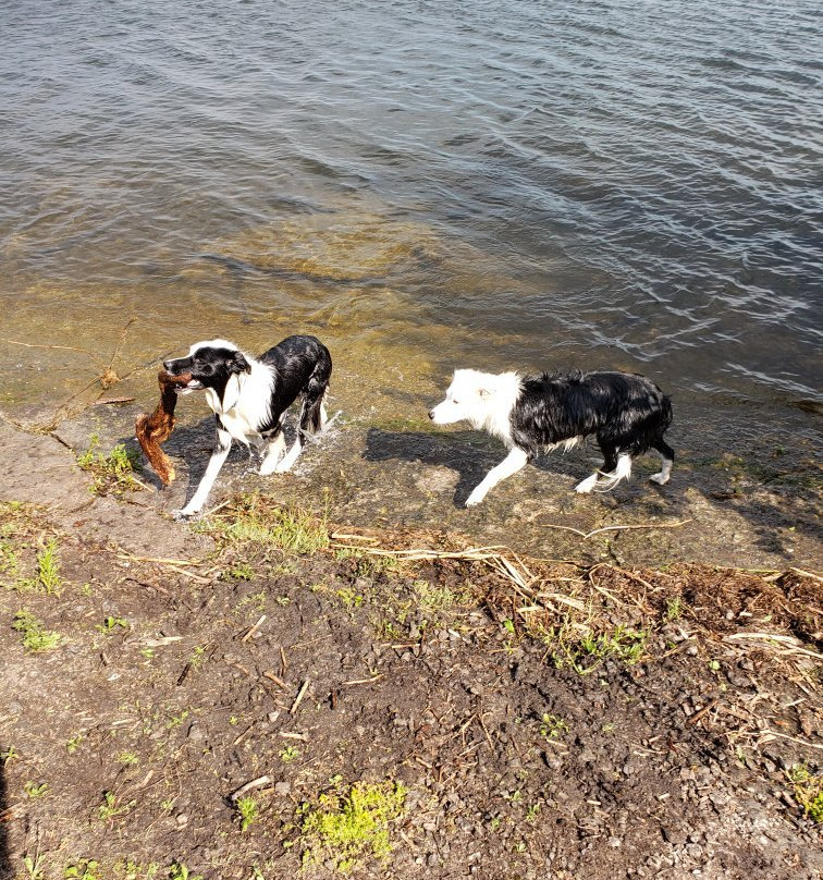North Port旅游景点-Massassauga Point Conservation Area