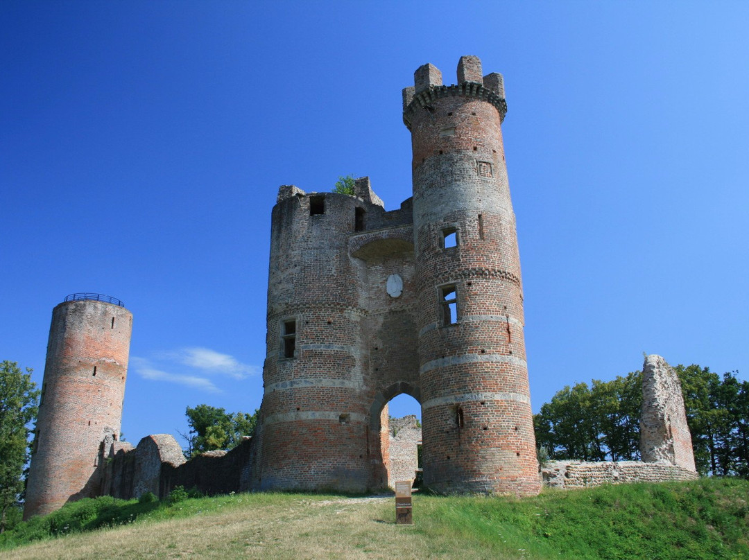 Chateau de Bressieux景点图片