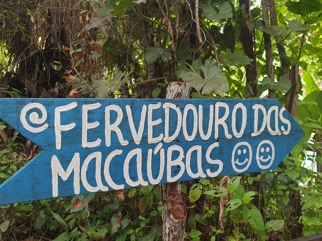 Fervedouro Das Macaúbas景点图片