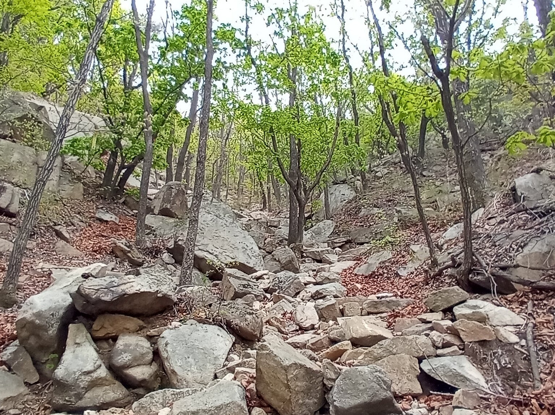 Bulgoksan-杨州市必去景点