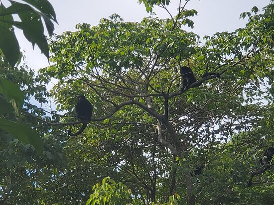 Black Stallion Eco Park & Estates景点图片