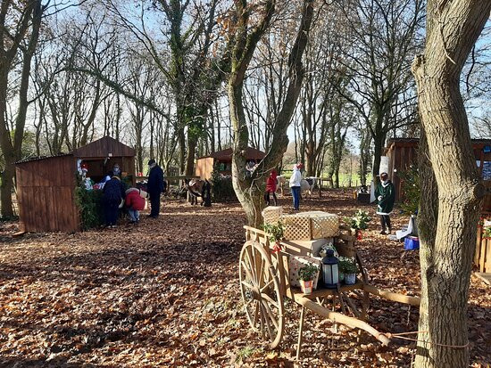 Rêver Réalité-Champeaux必去景点