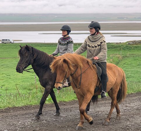 Iceland Horse Tours景点图片