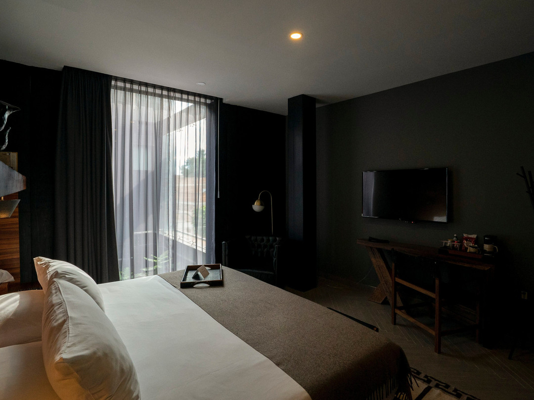 Hotel Elena de Cobre主图