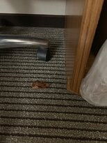 Hyatt Place Lubbock主图