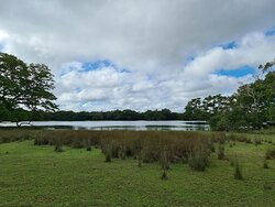 Wilpattu National Park景点图片