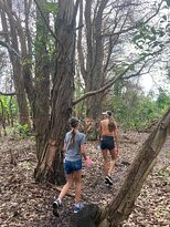 Beaver Creek Coffee Farm-Port Edward必去景点