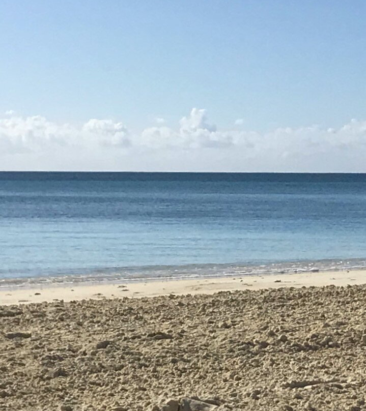 Silver Point Reef-弗里波特必去景点